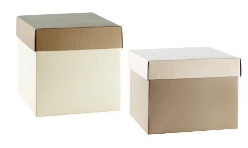 Scatole baule con coperchio