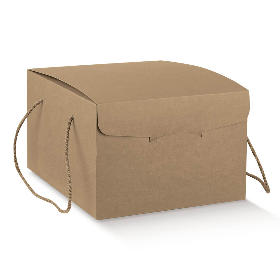Scatole alimenti take away