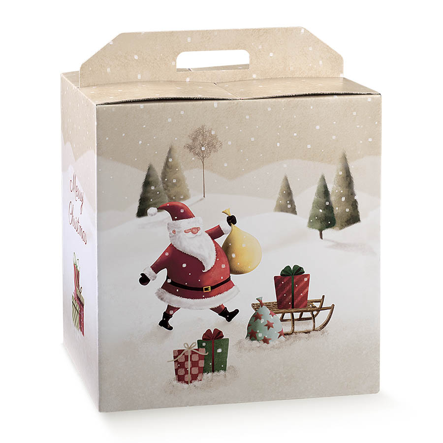 Scatole panettone e bottiglia