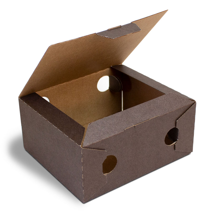 Contenitore alimentare in cartone