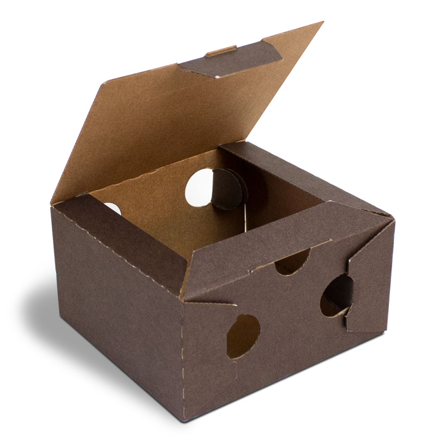 Contenitore alimentare in cartone